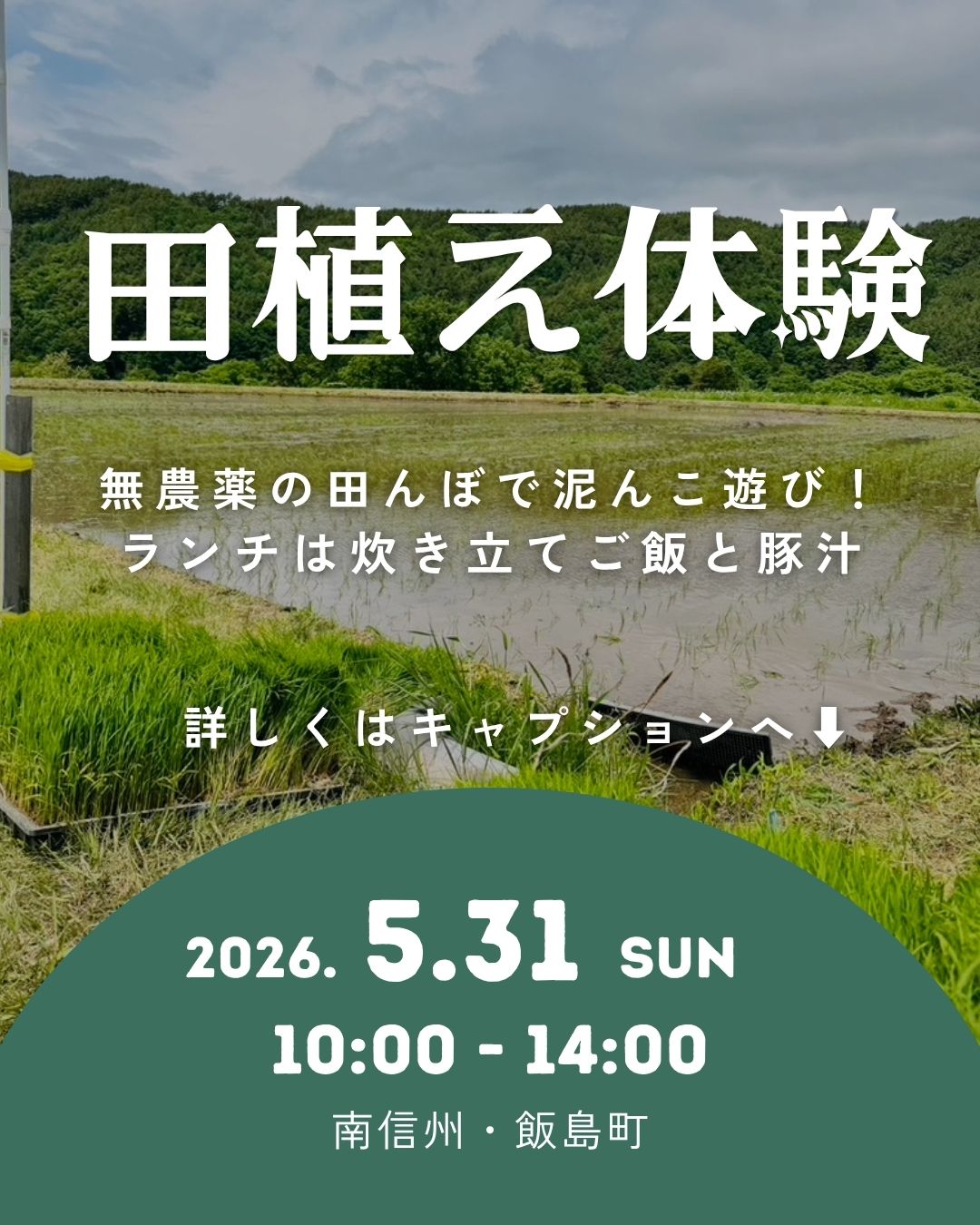 無農薬の田んぼで田植え体験イベント